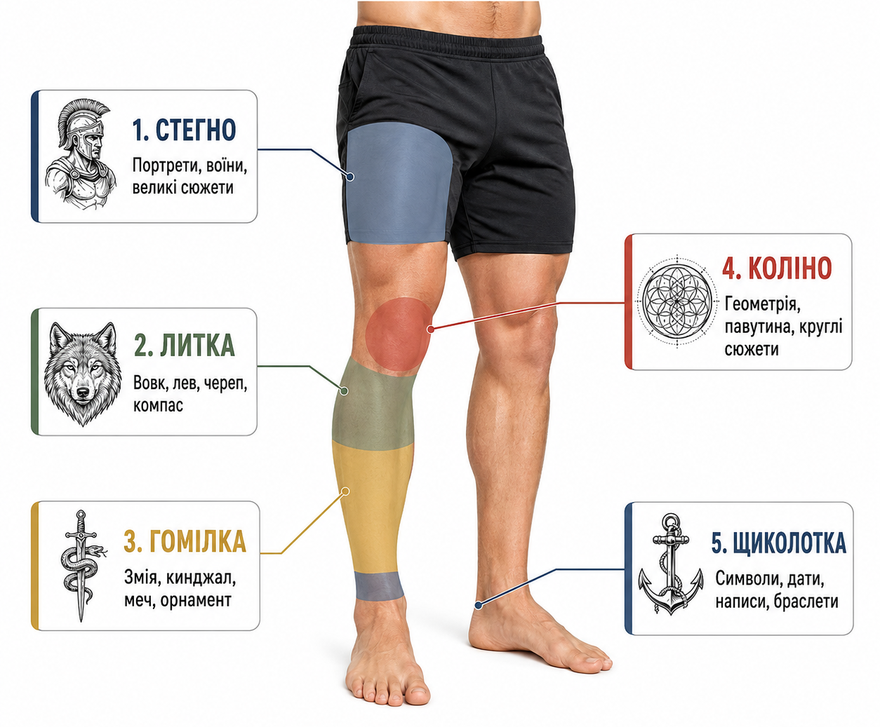 Чоловічі татуювання на нозі — інфографіка із зонами для ескізів на стегні, литці, гомілці, коліні та щиколотці.